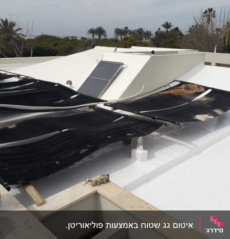 פחיות צבע לאיטום על גג לבן